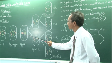 Sinh 12 | GIẢM PHÂN VÀ ĐỘT BIẾN SỐ LƯỢNG NHIỄM SẮC THỂ