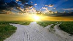 Con đường dẫn đến thành công